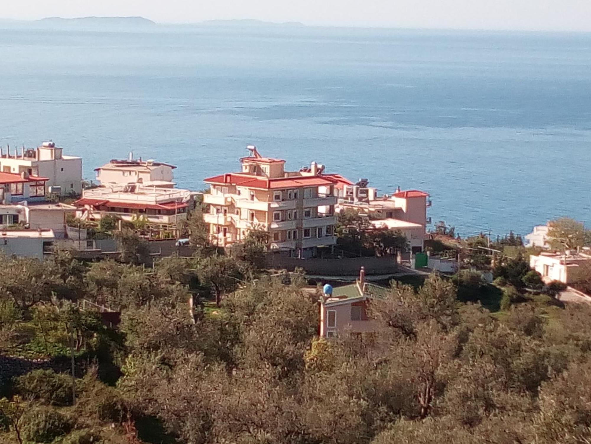 Spartila Apartments Dhermi Exterior photo